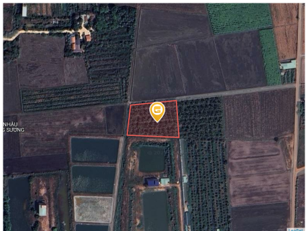 Bán đất 3835.2m² ngang 70m giá 1.6 tỷ tại Xã Châu Thành