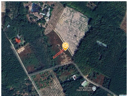 0931.783.209 Bán đất 310.9m² có sẵn 100m² thổ cư ngang 5m giá 385 triệu tại Xã Tân Khai