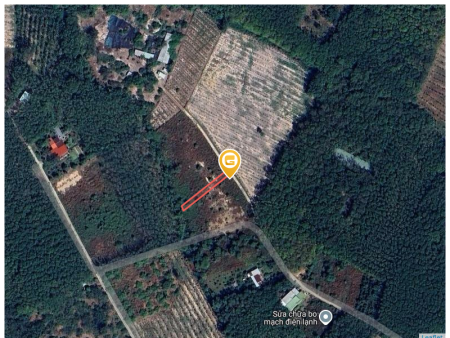 0931.783.209 Bán đất 310.9m² có sẵn 100m² thổ cư ngang 5m giá 385 triệu tại Xã Tân Khai