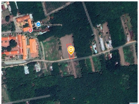 Bán đất 748.5m² có sẵn 100m² thổ cư ngang 10m tại Xã An Long