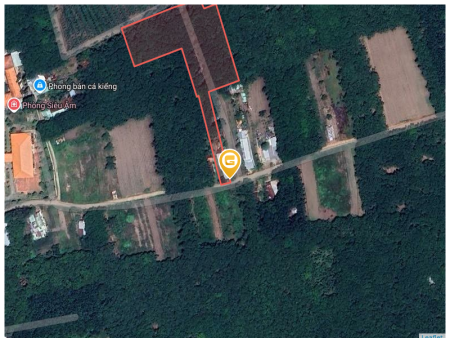 Bán đất 7537m² có sẵn 100m² thổ cư ngang 50m giá 1.1 tỷ tại Xã An Long