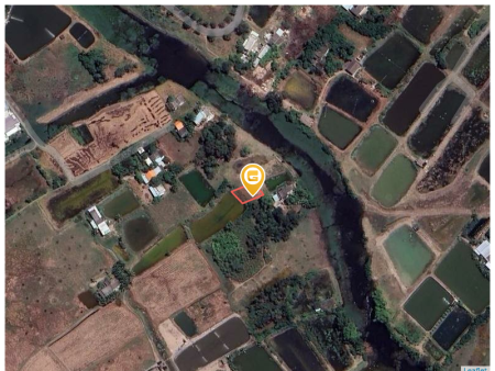 Bán đất 300m² full thổ cư ngang 15m giá 500 triệu tại Xã Tân Tập