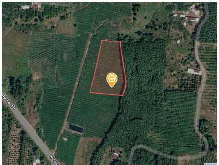 Bán đất 55000m² có sẵn 300m² thổ cư ngang 300m giá 179 tỷ tại Xã Xuân Quế