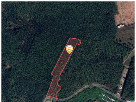 Bán đất 40000m² có sẵn 300m² thổ cư ngang 40m giá 21 tỷ tại Xã Dầu Tiếng, anh em môi giới chào giúp