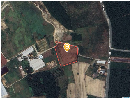 Bán đất 4963m² có sẵn 200m² thổ cư ngang 20m giá 1.99 tỷ tại Xã Trà Giang