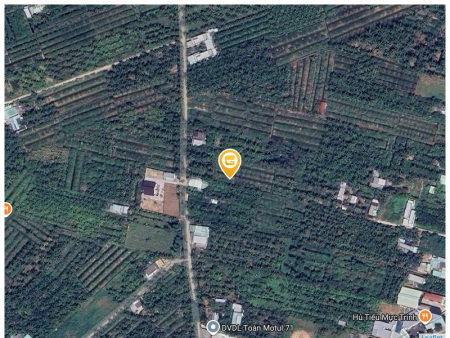 Bán đất 792m² ngang 25m giá 800 triệu tại Phường Bến Tre