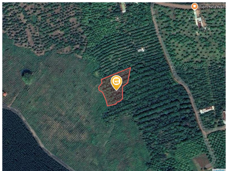 Bán đất 24800m² ngang 200m giá 4.7 tỷ tại Xã Xuân Hòa