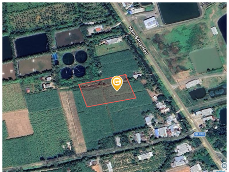 Bán đất 5000m² mt nam sông hậu ngang 50m giá 3.5 tỷ tại Xã Long Phú