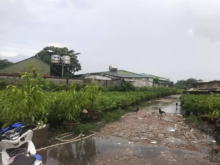 Bán lô đất giáo dục đường Phan Huy Ích, mặt tiền sông Vàm Thuận, tương lại 3 mặt tiền.