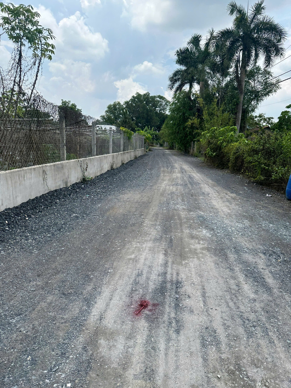 Đã thẩm định tài sản 1/ tỉnh lộ 15 100m2 giá 1ty1 là thật