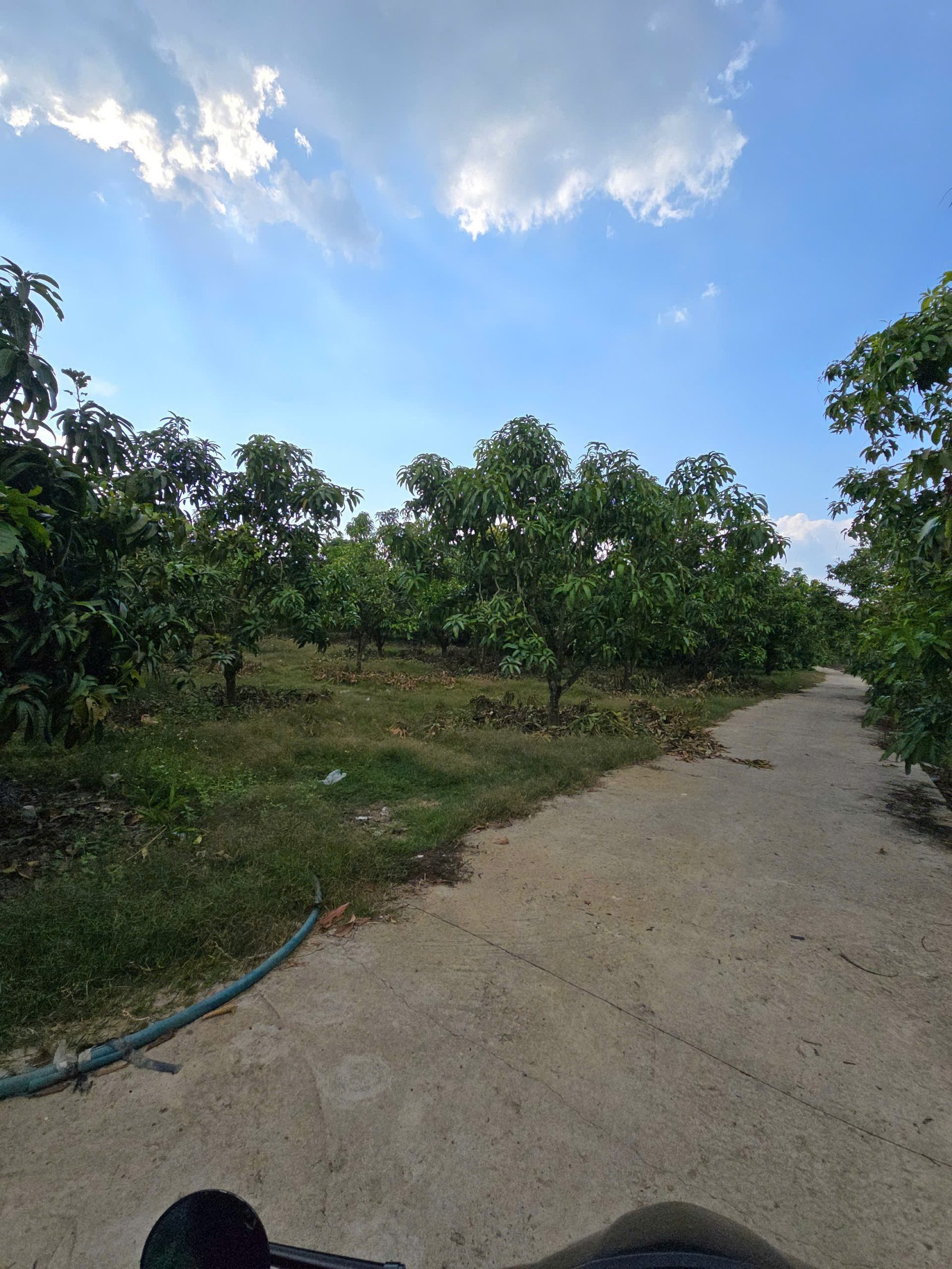 Bán Đất 10775m² thổ cư 188m² giá 5.3 tỷ tại Đường 101B (Xã La Ngà) Xã La Ngà Huyện Định Quán Đồng Nai