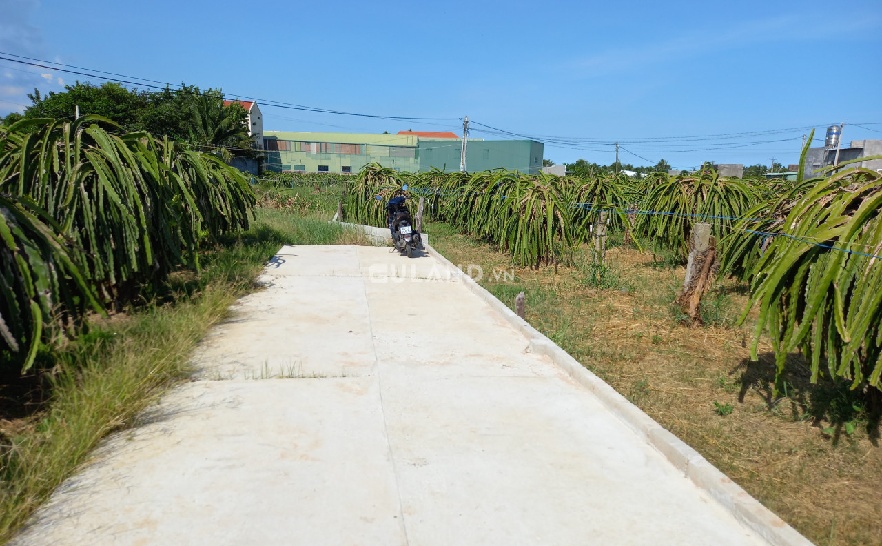 Đại Hạ Giá-Đất Lô 3 Km10 quốc lộ 1A-Thôn Dân Phú-Hàm Kiệm-Lâm Đồng-764m2 .