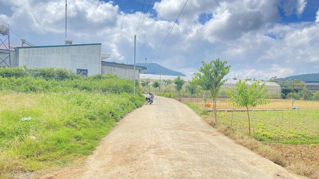 Bán Đất 200m2 có sẵn 100 m2 thổ cư giá 1.9 tỷ tại hẻm Xã Hiệp An Huyện Đức Trọng Lâm Đồng