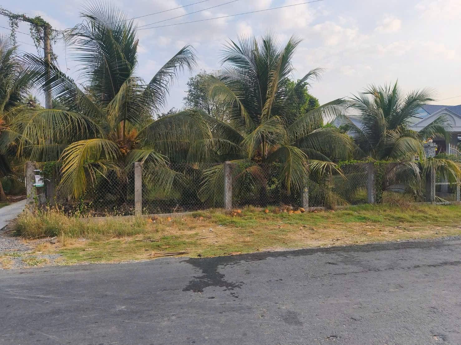 Bán 5 công đất vườn mặt tiền đường nhựa HL23B 5m. Ấp bình Quới Hạ bình Ninh, Chợ Gạo, Đồng Tháp Mới.