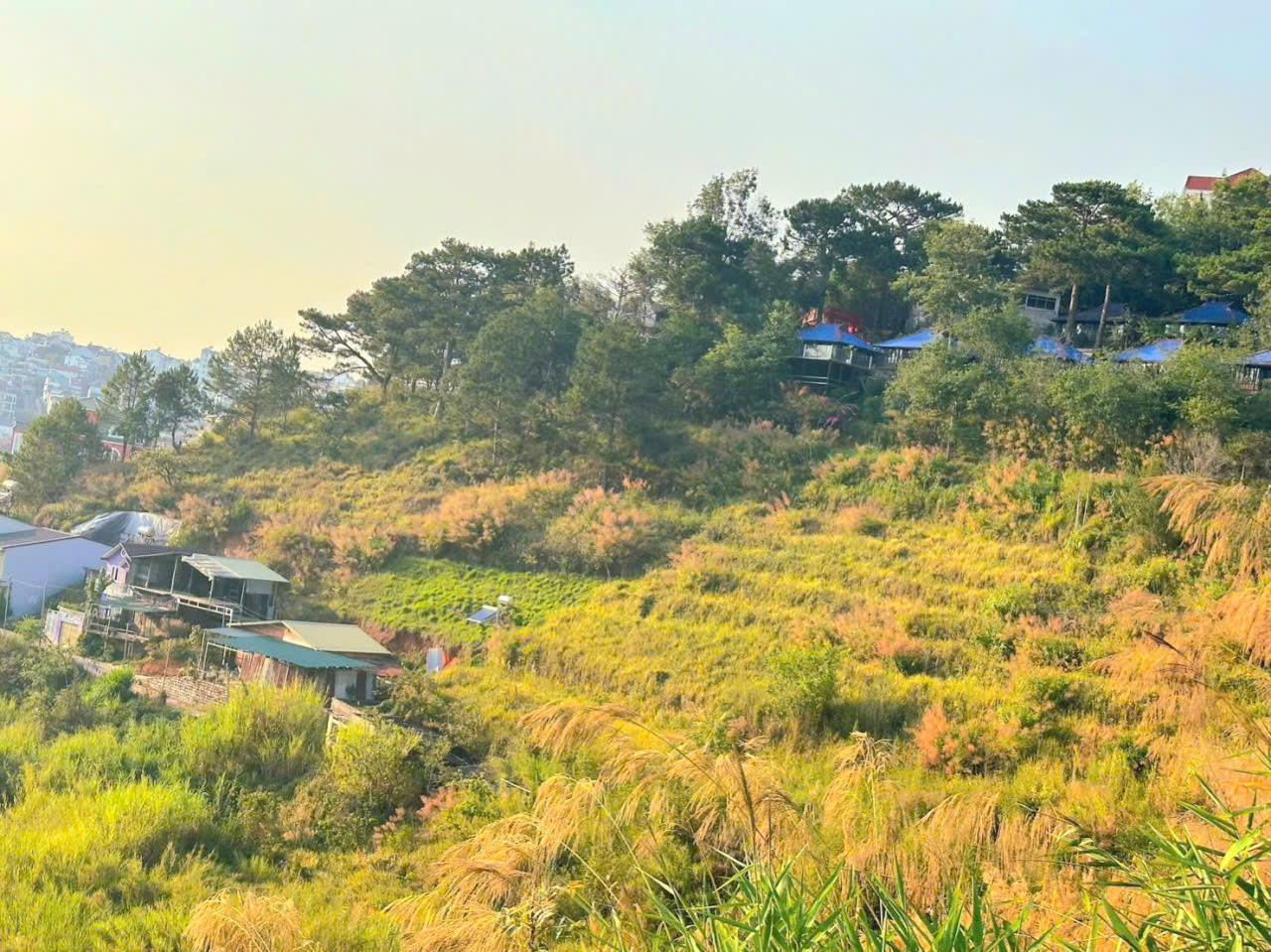 Bán đất view đẹp giữa rừng thông trung tâm Đà Lạt gần bến xe liên tỉnh