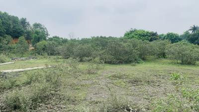 Chính chủ gửi nhờ bán lô đất 2.041,6m²  nằm ngay mặt tiền đường 30/4, trung tâm Long Đức, Trà Vinh.