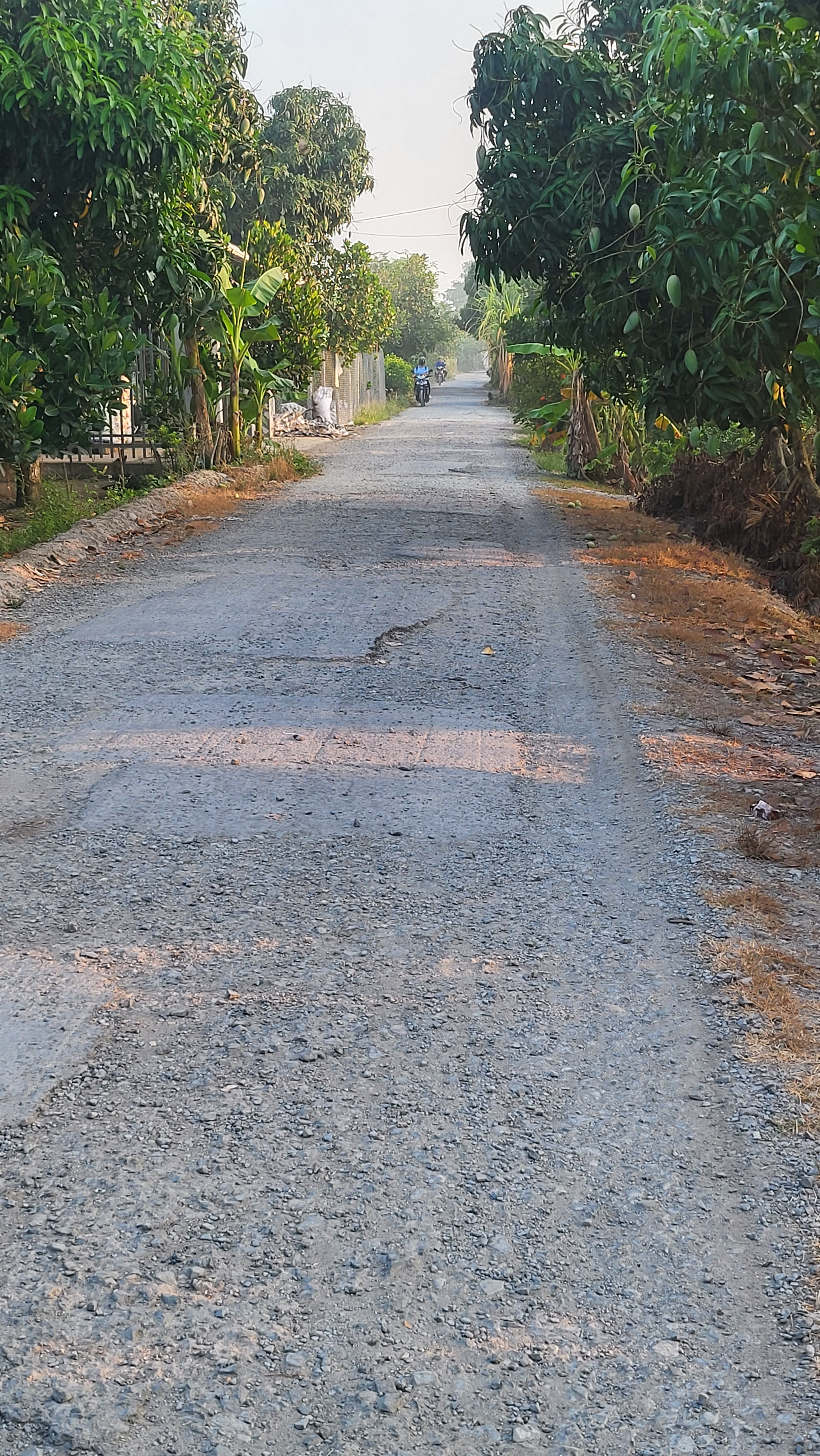 Bán đất 161m2, mặt tiền lộ nhựa 4m giá 538 triệu