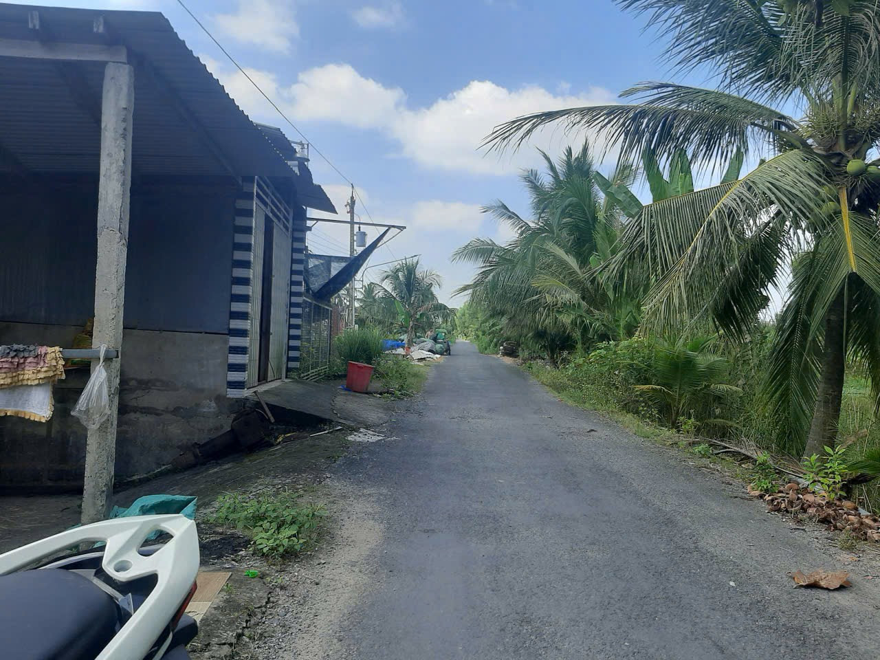5x38m đất mặt tiền huyện lộ 38,Tam Hiệp,Châu Thành,Tiền Giang.