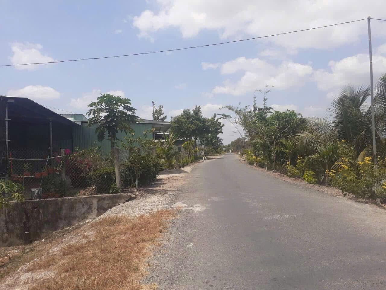 3,2công đất mặt tiền huyện lộ 38,Tam Hiệp,Châu Thành,Tiền Giang.