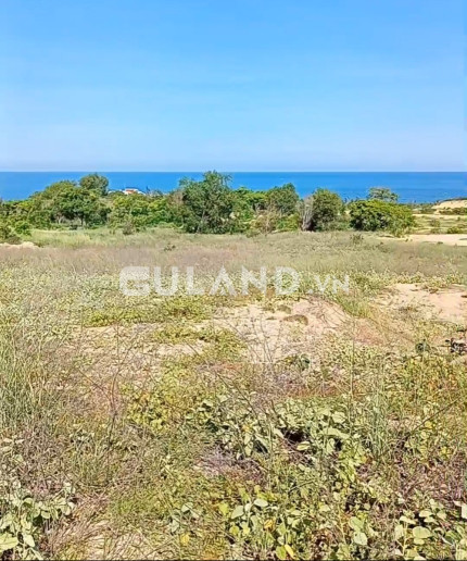 Đại Hạ Giá-Đất Kê Gà-Tân Thành(Hàm Thuận Nam cũ)-Lâm Đồng-Hơn 2 Ha