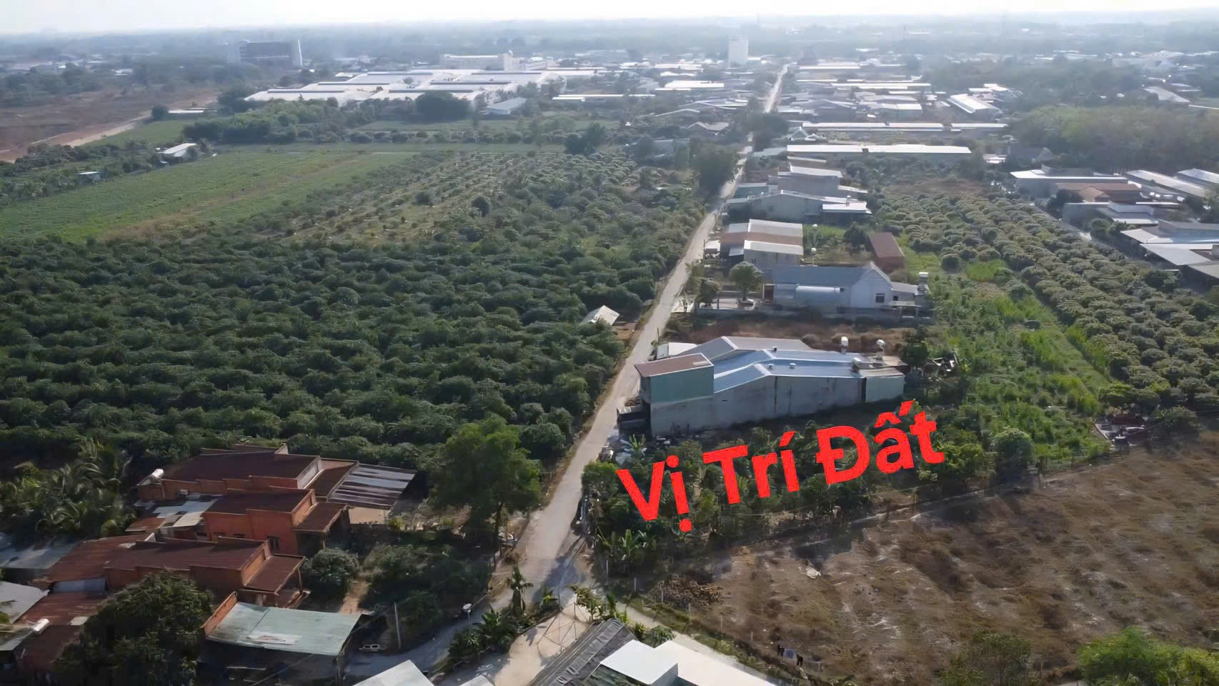 🚨 ĐẤT MẶT TIỀN NHỰA – SÁT KCN PHƯỚC ĐÔNG | NỞ HẬU – KHAI THÁC LIỀN 🚨