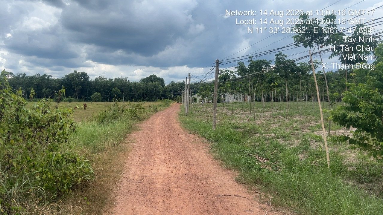 Bán 8000m đất NN