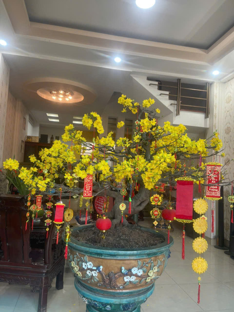 Nhà phố xinh rẻ 5 x 14m 1 trệt 3 lầu Tạ Quang Bửu Q8 TP.HCM