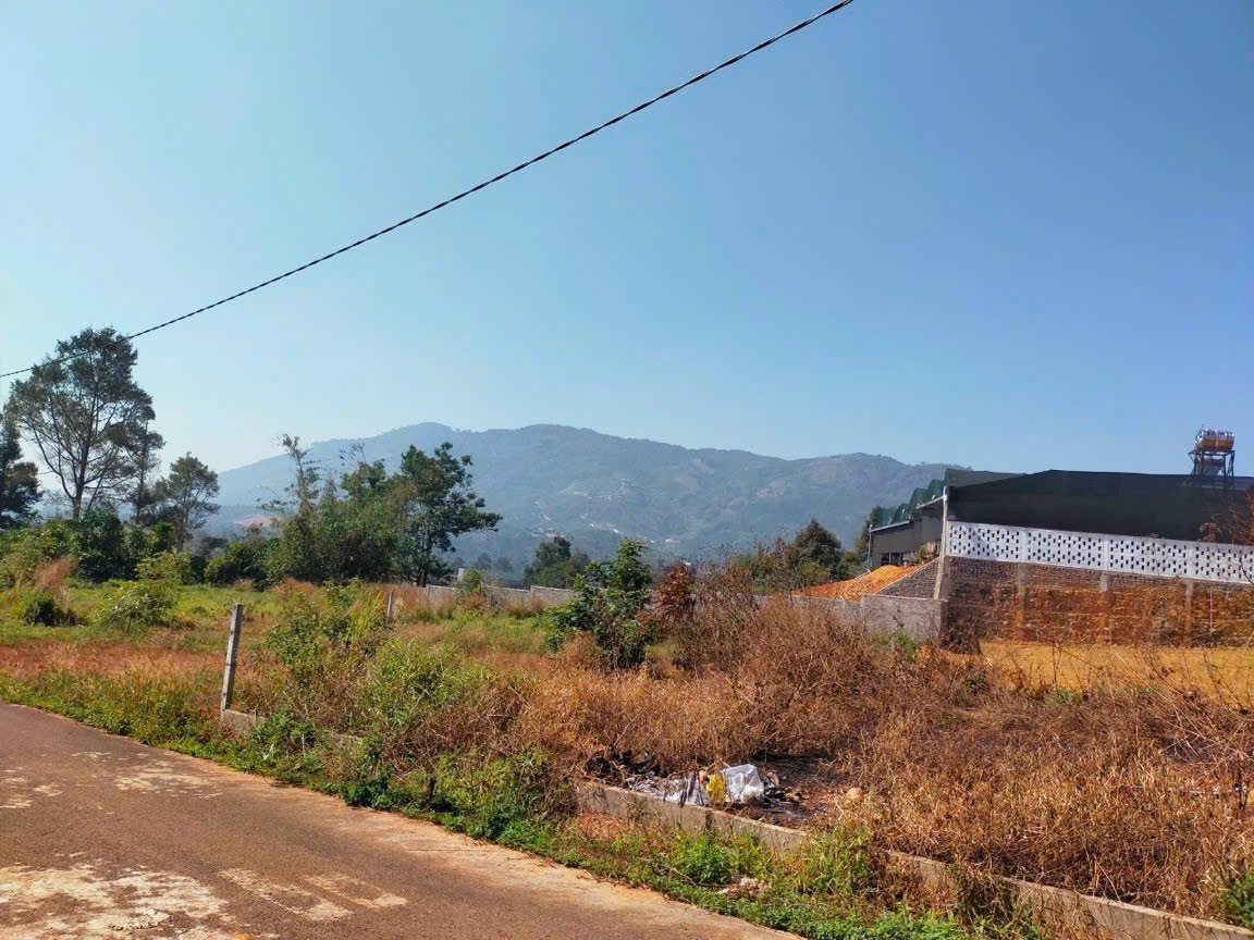 2 Dì Cháu Tranh Đất Đành Bán lỖ 900m2 Ven Đà Lạt Chỉ 601tr