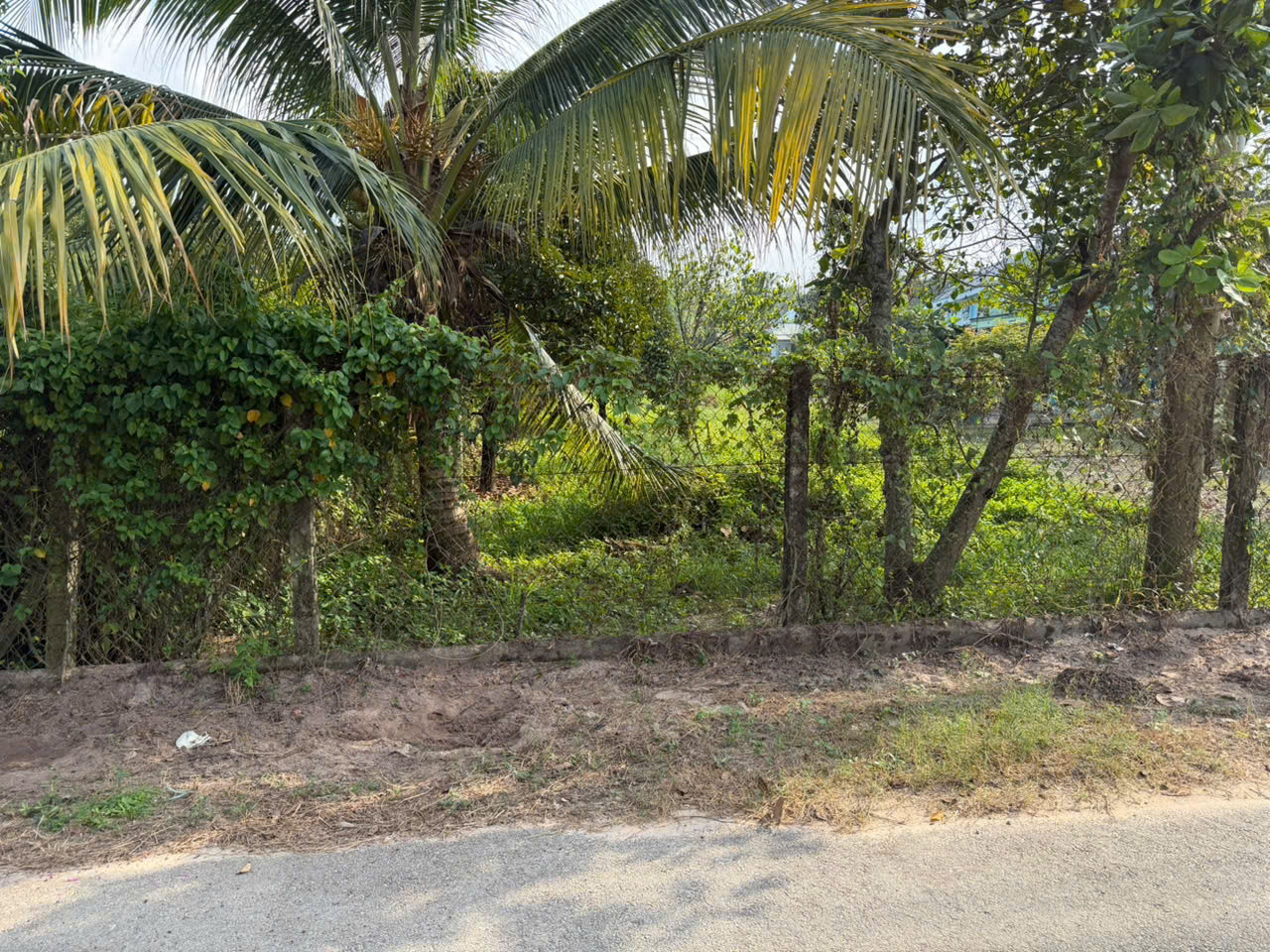 349m2 Đất An Điền , Bến Cát - Ngay Đường DT748 mở rộng - Giá 2 tỷ 500