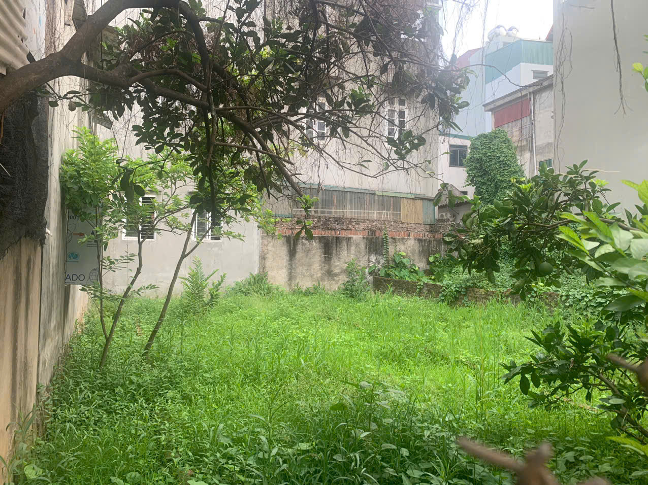 Bán Đất Phú Thượng HX Ciputra Ô Tô Vào Đất 70m MT 8. Giá 13 Tỷ