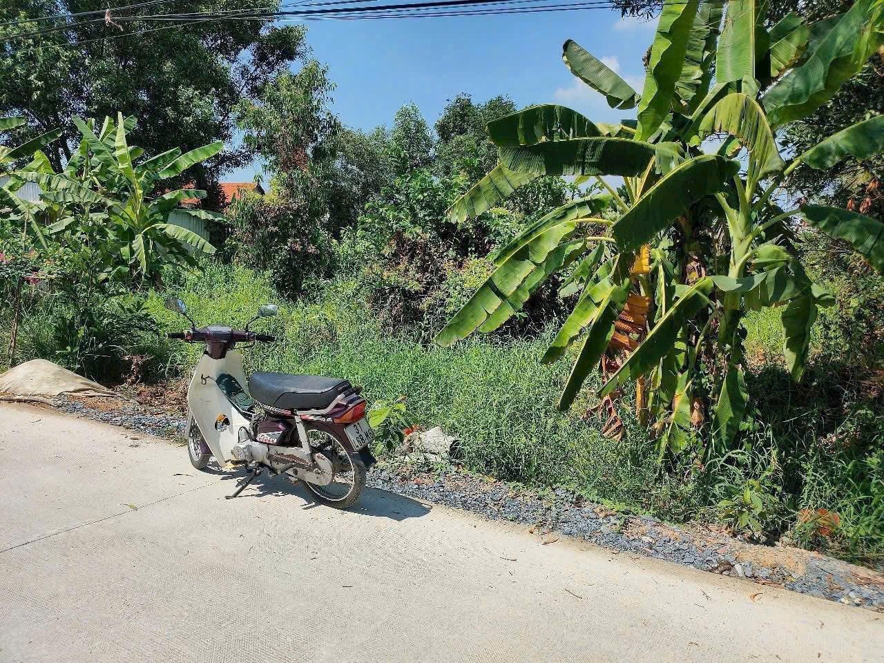 Bán đất ngay cổng KDC An Hạ gần KCN An Hạ xã Phạm Văn Hai huyện Bình Chánh TPHCM, DT: 20x52m.
