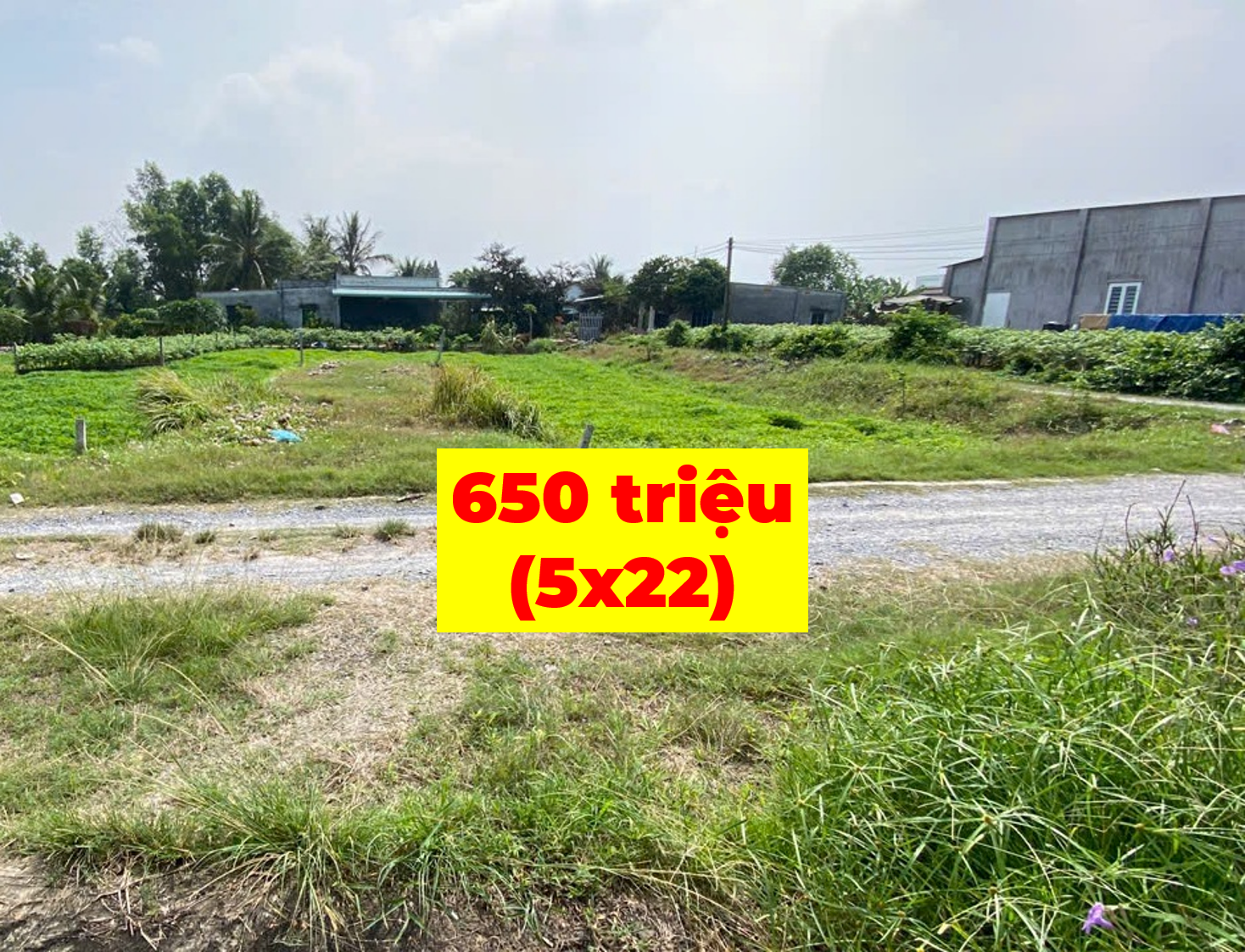 [2022] mua 800tr - nay cần tiền bán 650tr. ngay KCN Trảng Bàng (5x22) thổ cư. SĐT: 0779.066.337