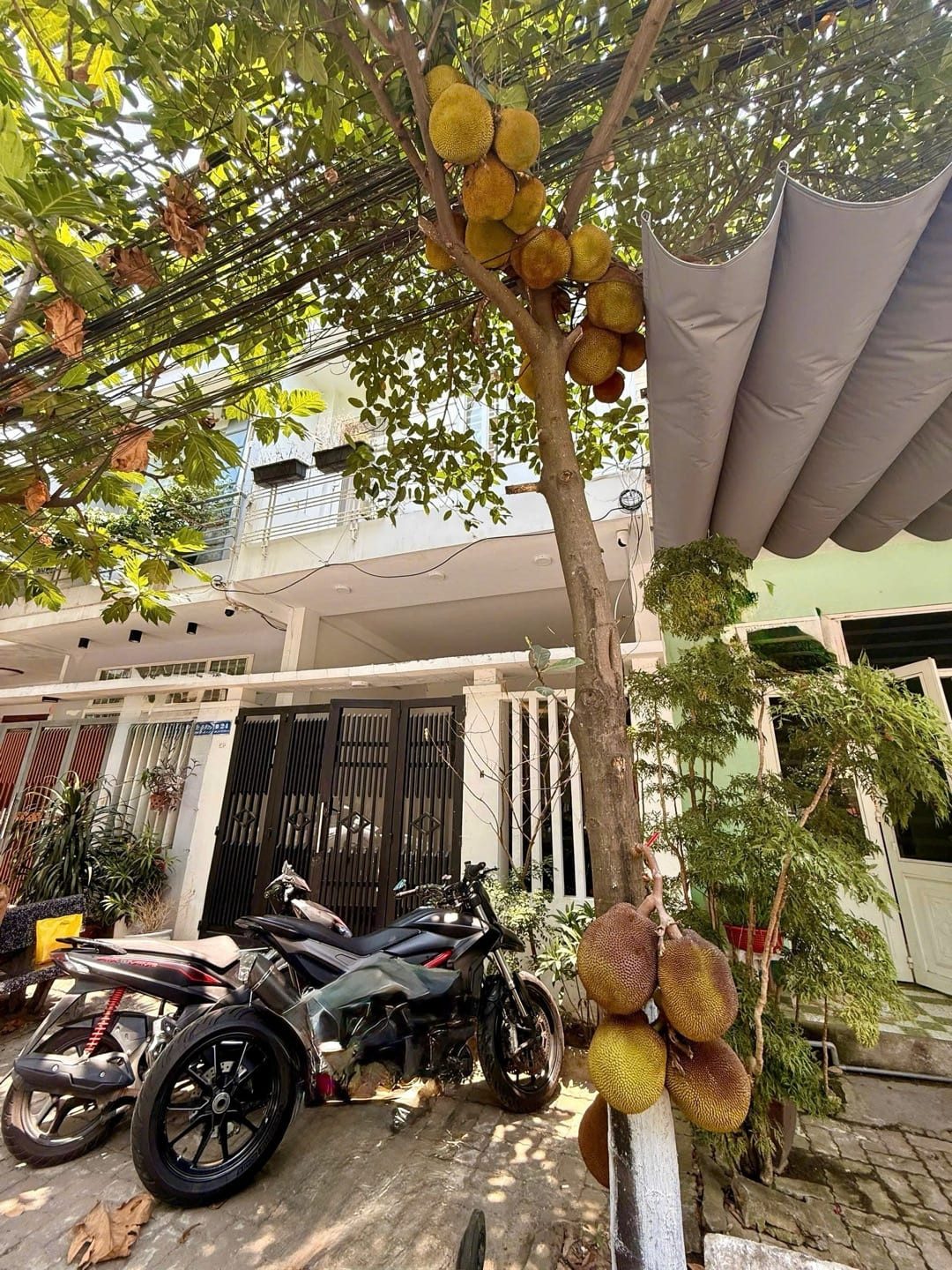 🎯Nhà An Thượng, Ngũ Hành Sơn, Đà Nẵng - Đang có sẵn dòng tiền - Vị trí rất đẹp để có thẻ vừa ở vừa kinh doanh 🎯