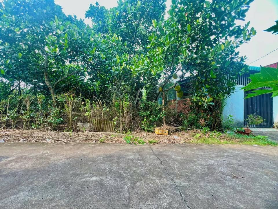 Đất vườn thổ cư 200m2 ngang 30m giá 1tỷ160 Bình Lộc Long Khánh Đồng Nai