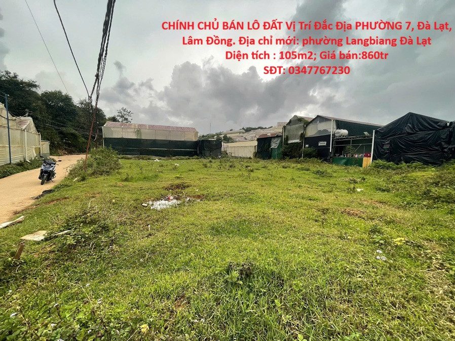 CHÍNH CHỦ BÁN LÔ ĐẤT Vị Trí Đắc Địa PHƯỜNG 7, Đà Lạt, Lâm Đồng