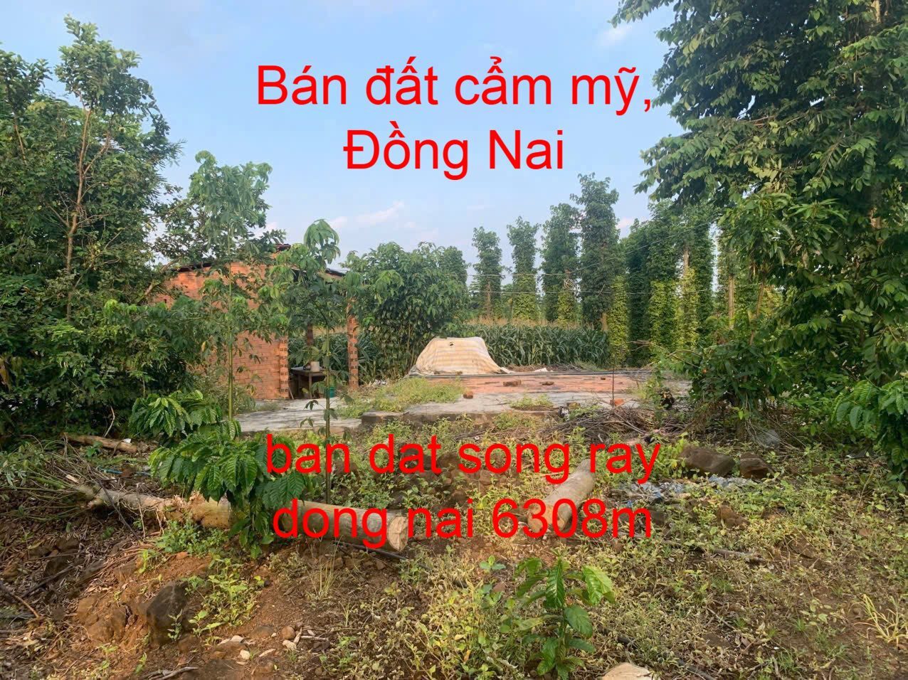ban 6308m dat song tay cam my dong nai gia re