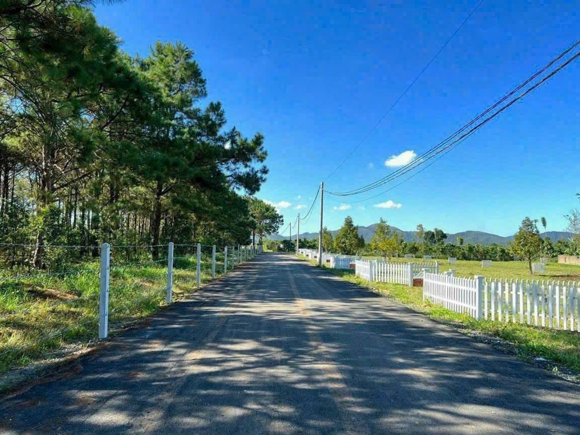Dì Đang có 1500m² thổ cư 100m² ngay trung Tâm do không lên được đành bán giá 499tr