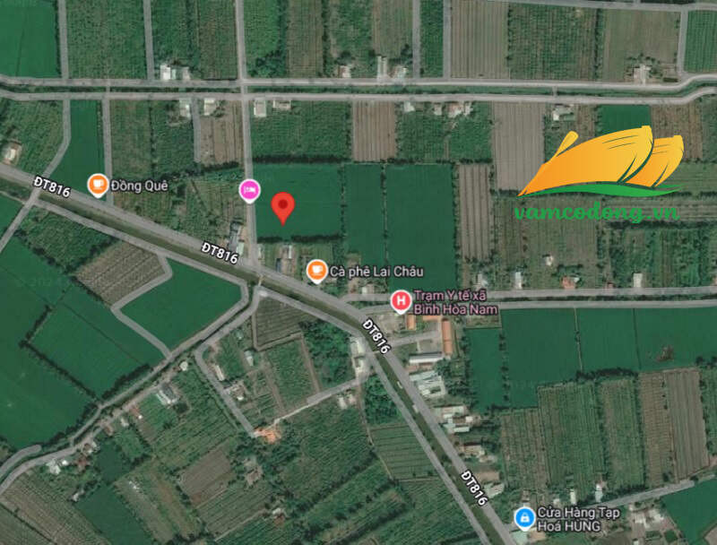 Bán đất 2342.5m² đang trồng đu đủ ngang 23m giá 3.33 tỷ tại Đường B Xã Đức Huệ