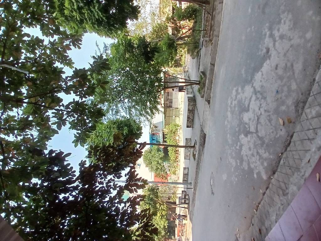 Đất phân lô siêu hiếm