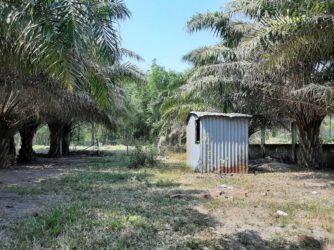 Bán đất view kênh 1/Bà Thiên xã Nhuận Đức Củ Chi TPHCM, DT: 1000m2, giá 1,65 tỷ.