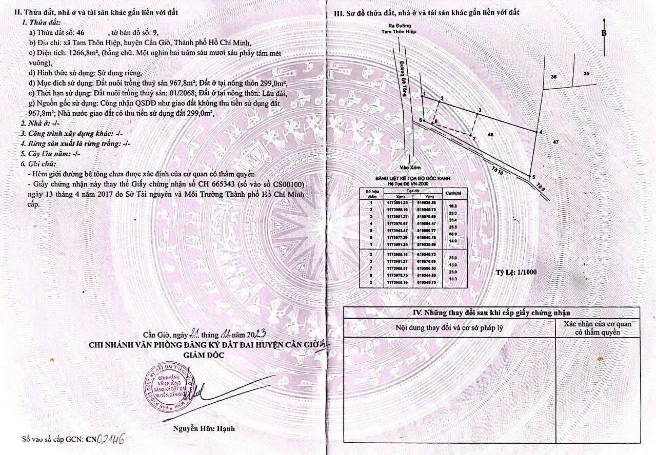 Bán nhà vườn nghỉ dưỡng mặt tiền đường nhựa Bình Khánh Cần giờ chưa đến 16tr/m2