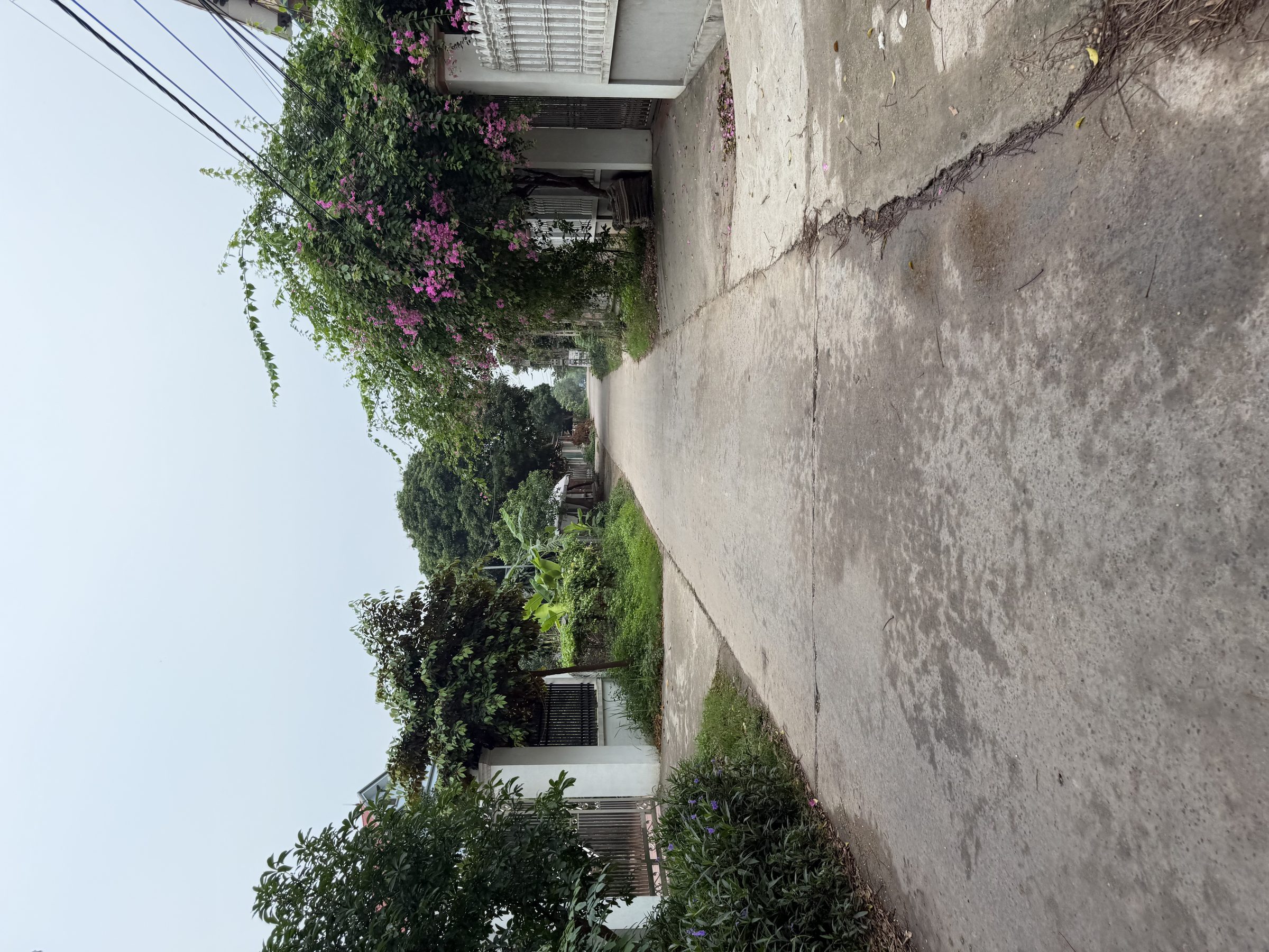BÁN ĐẤT MÃ QUẦN XÃ BẮC LÝ TỈNH BẮC NINH