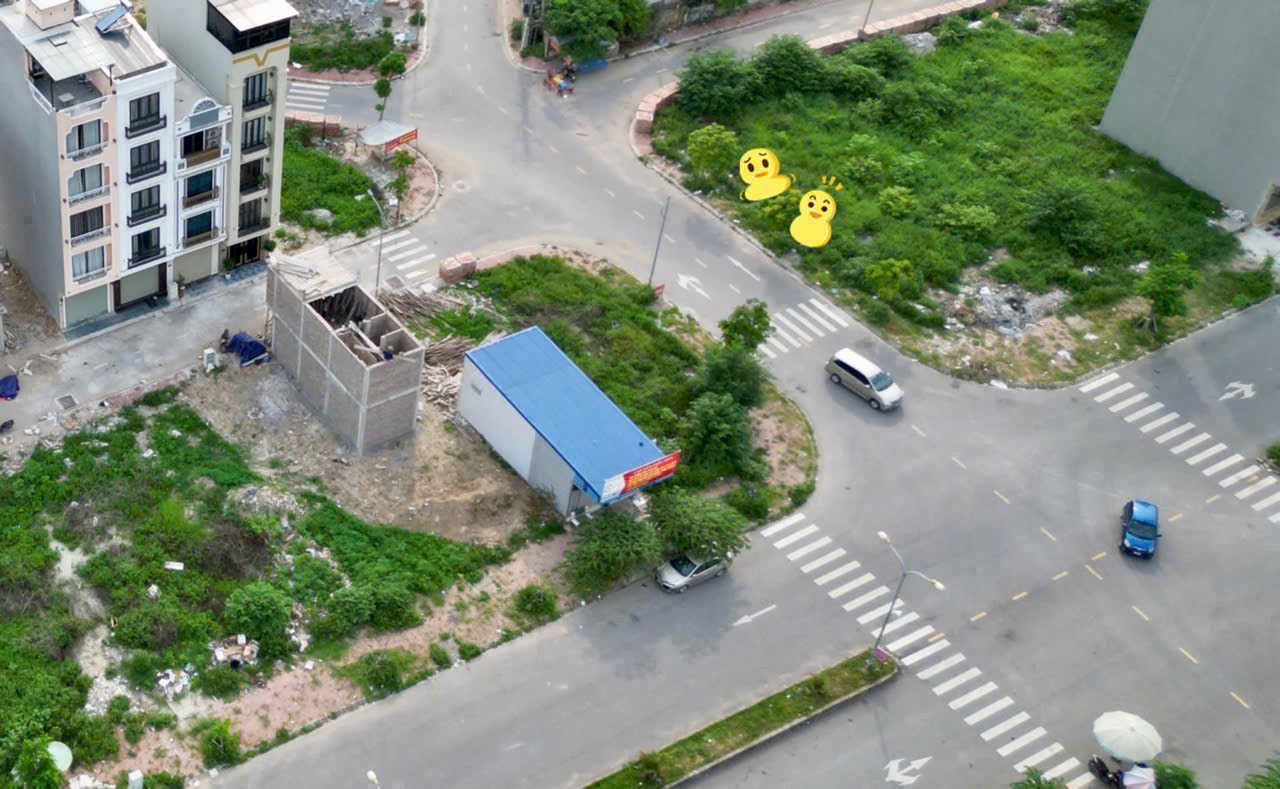 Cần Bán nhanh Lô Đất 60,5m² Khu Tái Định Cư Cây Đa – Lô Đẹp Hướng Đông Nam, Giá Tốt