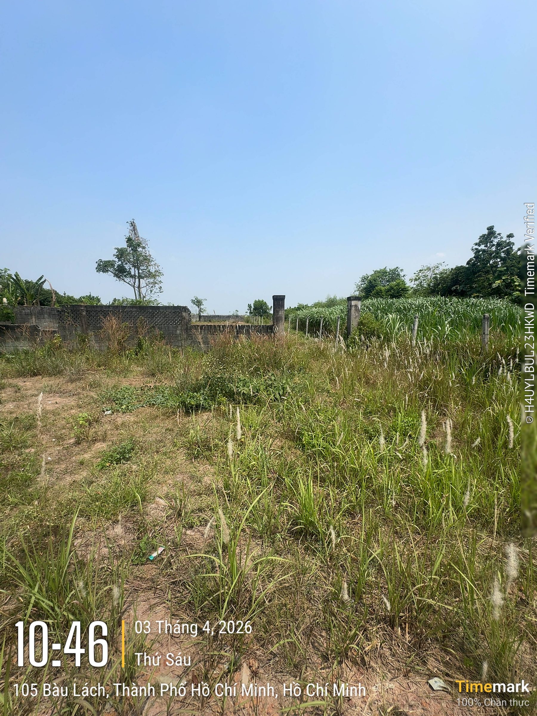 Bán đất 1265m² có sẵn 900m² thổ cư ngang 15m giá 1 tỷ tại Đường Bàu Lách Xã Nhuận Đức