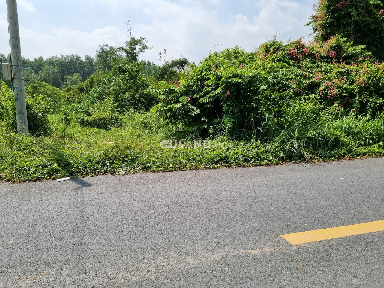 (S197) Đất mặt tiền đường Bến Đình, xã An Nhơn Tây, dt 211m2, full thổ cư, chỉ 1 tỷ 280