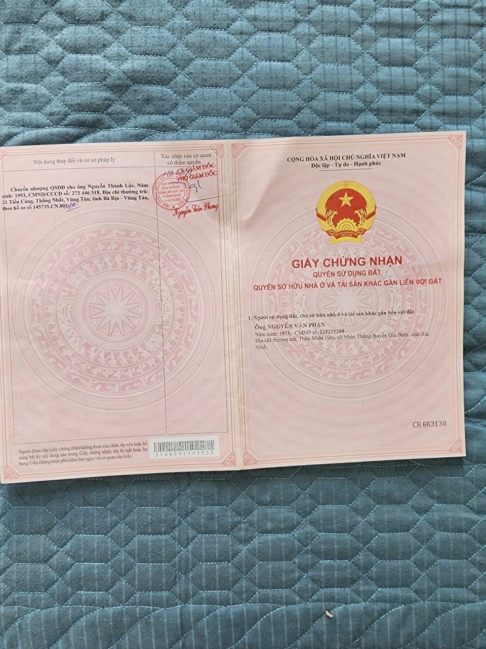 Đất trồng cây lâu năm