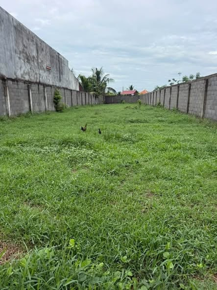 Bán Đất 600m² thổ cư 300m² giá 1.8 tỷ tại Đường Bình Hữu 1 Xã Đức Hòa Thượng Huyện Đức Hòa Long An