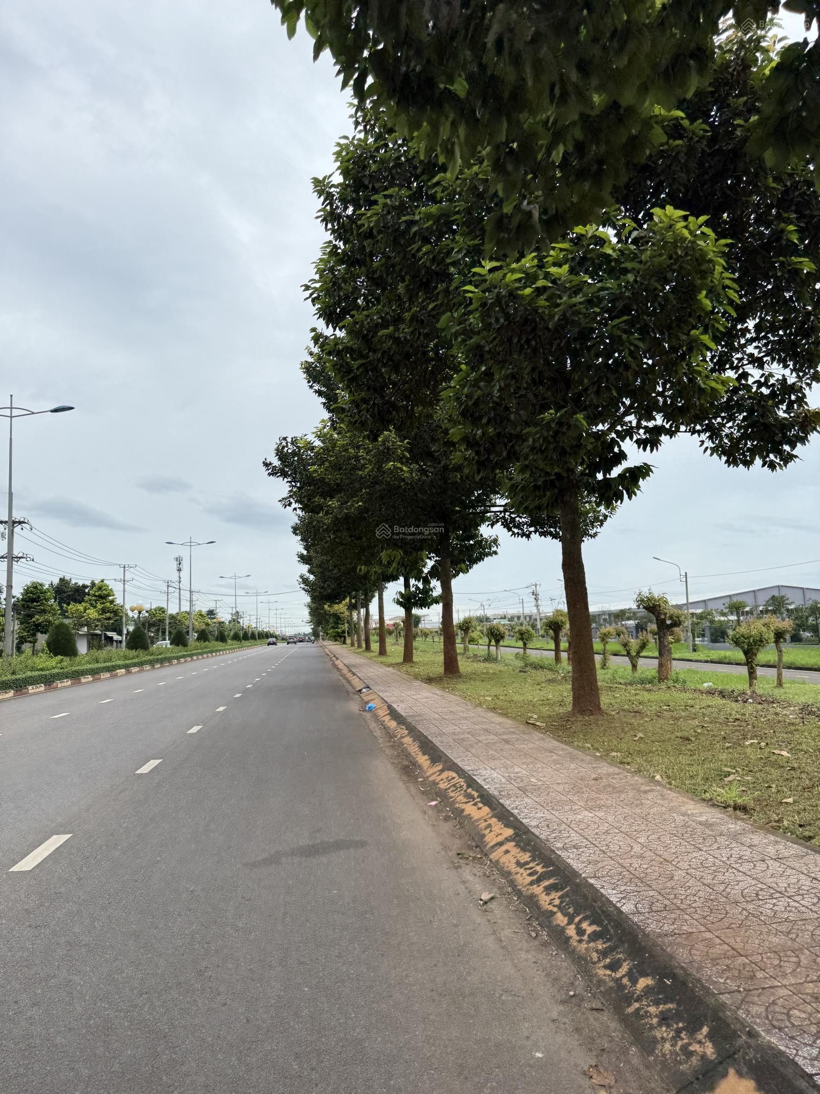 Bán gấp lô đấth Đồng Nai, Đường ô tô thông tứ hướng 231m2 Bình Lộc Long Khán