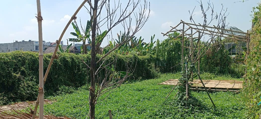 Đất đường ô tô thông, Bình Mỹ, Củ Chi, 10x25m, 990tr