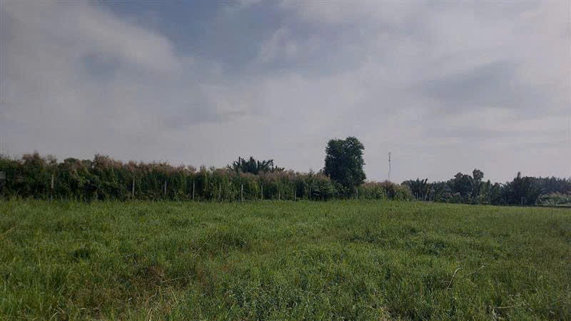 Bán đất vàng 9.664m² (87mx181m) Bình Quới, P28 Bình Thạnh, quỹ đất hiếm, tiềm năng 35 tầng, 155 tỷ